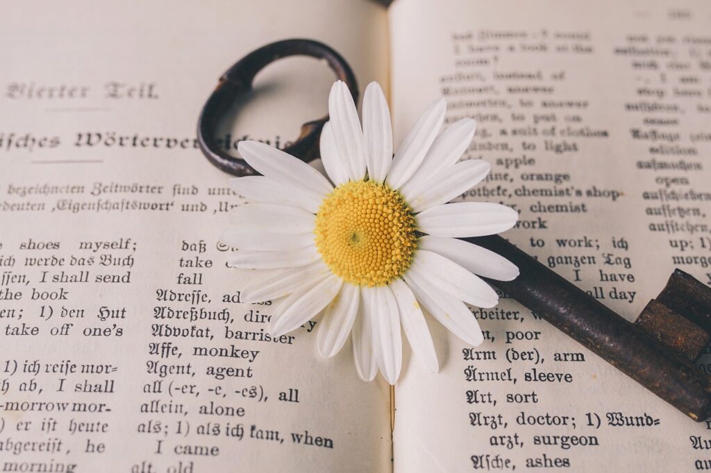 Gänseblümchen mit Schlüssel auf Buch