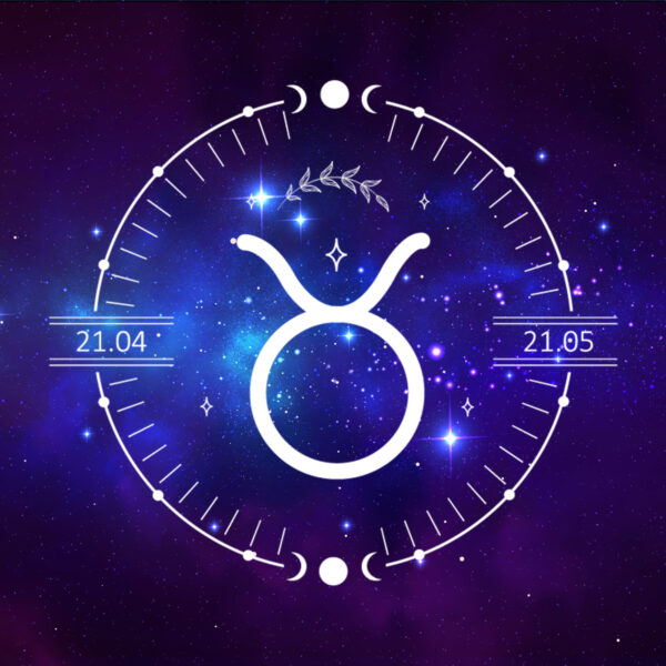 Symbol Stier